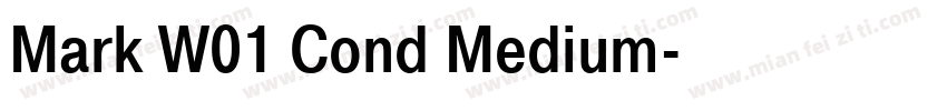 Mark W01 Cond Medium字体转换